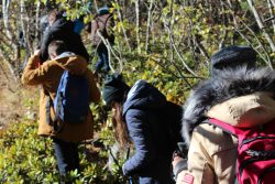 Путь к леднику Шаурту проложен: студенты КБГУ восстанавливают забытые туристические маршруты
