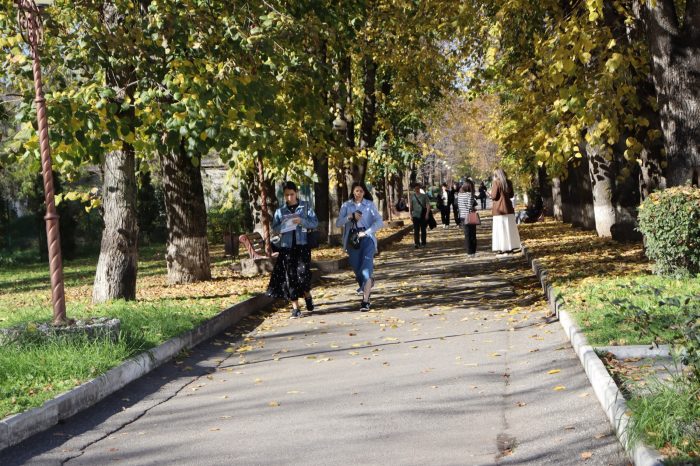 Вектор экспорта образования перемещается в сторону дружественных стран