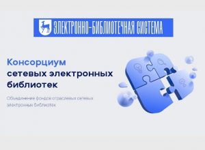 Консорциум СЭБ, в котором участвует КБГУ, признан лучшим IT-проектом