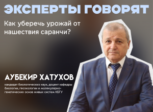 Нашествие саранчи. Эксперт КБГУ о новой  угрозе и методах борьбы с вредителем