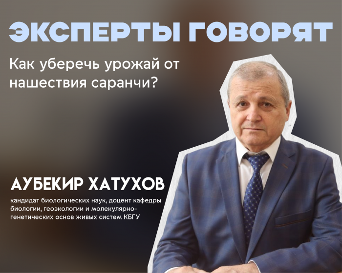 Нашествие саранчи. Эксперт КБГУ о новой  угрозе и методах борьбы с вредителем