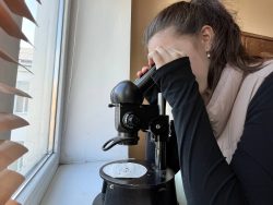 В лабораториях ИМиЕН и ЦКП «Генетика и селекция им. М.К. Керефовой» обучающиеся общеобразовательных школ познают увлекательный мир молекулярной биологии