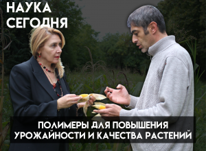 КБГУ и МГУ: Инновационные полимеры для повышения урожайности и качества растений