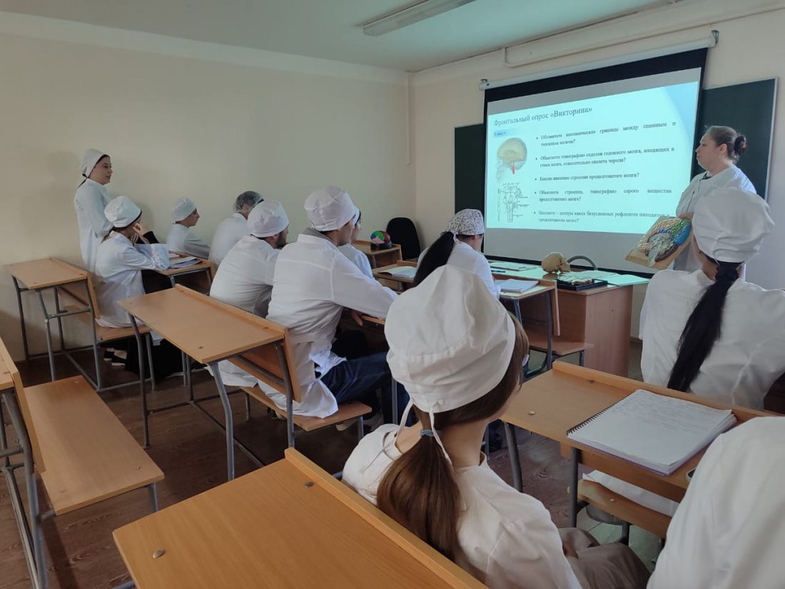 Открытое практическое занятие по теме: «Изучение строения и функции структур ствола головного мозга. Продолговатый, задний и средний мозг» Открытое практическое занятие по теме: «Изучение строения и функции структур ствола головного мозга. Продолговатый, задний и средний мозг»