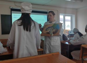 Открытое практическое занятие по теме: «Изучение строения и функции структур ствола головного мозга. Продолговатый, задний и средний мозг»