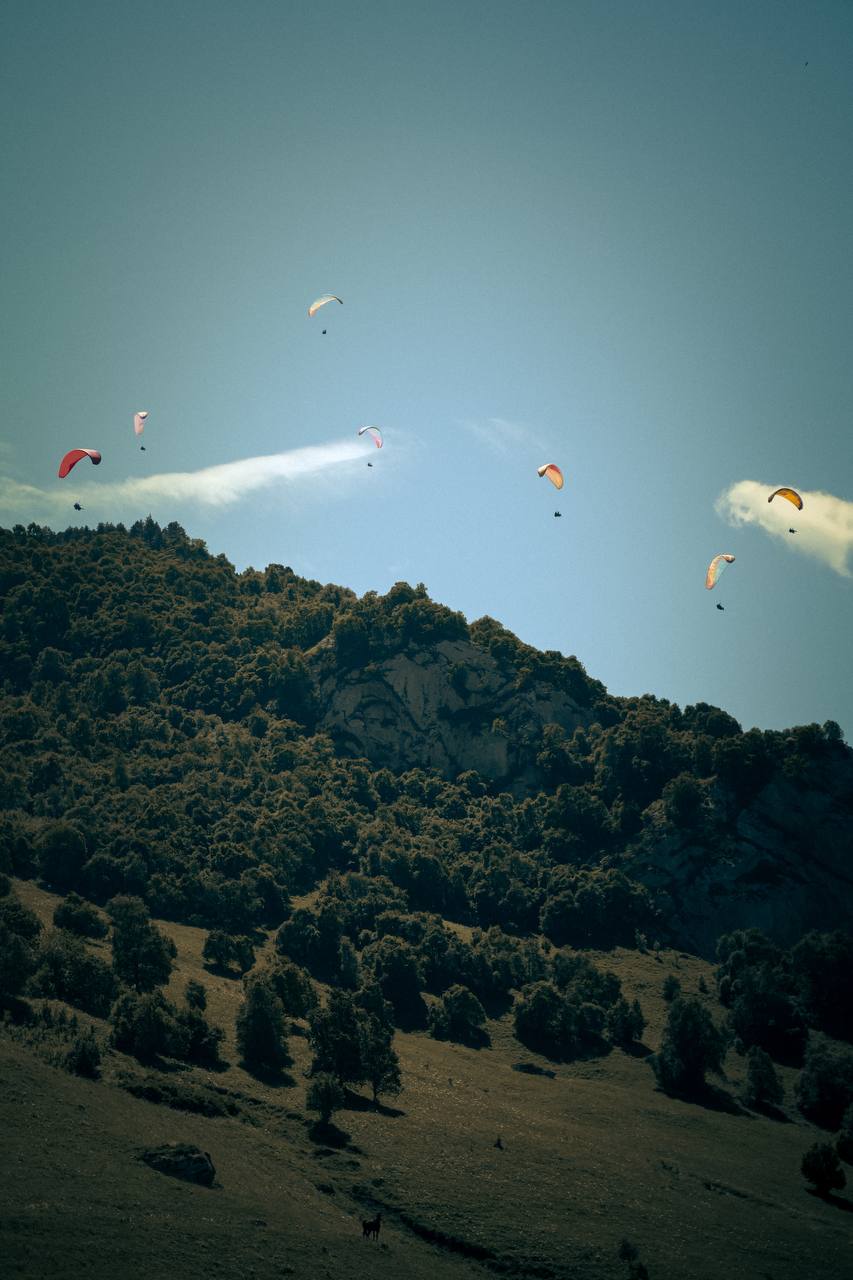 Туристический клуб «Papaha travel»