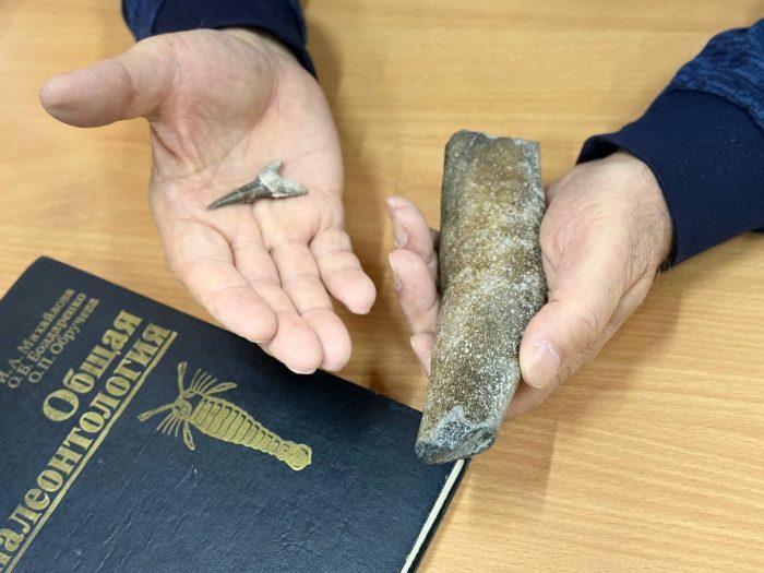 Ученый из КБГУ нашёл в Кабардино-Балкарии уникальные окаменелости древних морских обитателей