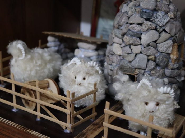 photo_2026-01-29_16-39-04