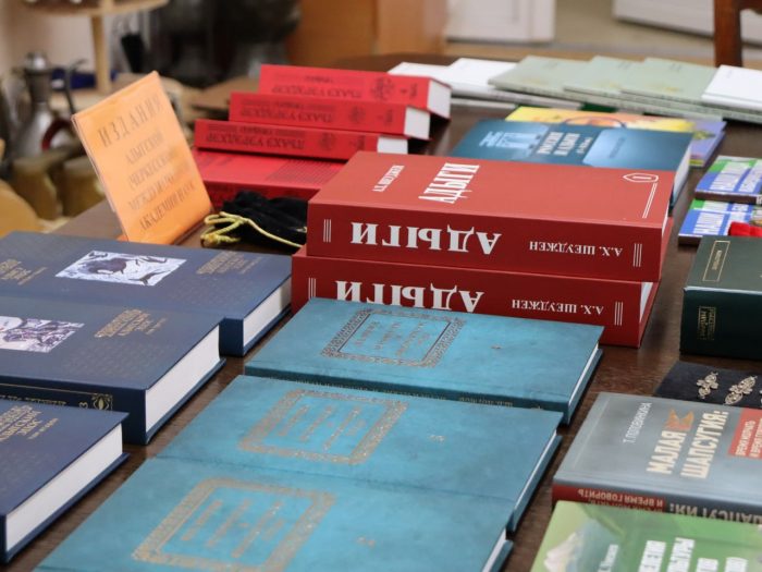 КБГУ и Адыгская Академия наук обсудили развитие научно-культурного партнерства