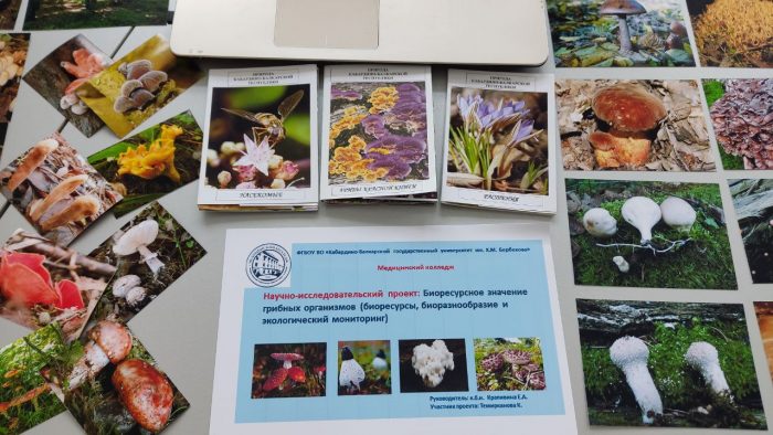 XX Выставка инновационных проектов молодых ученых Северного Кавказа