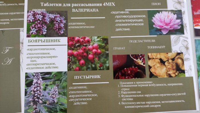 XX Выставка инновационных проектов молодых ученых Северного Кавказа