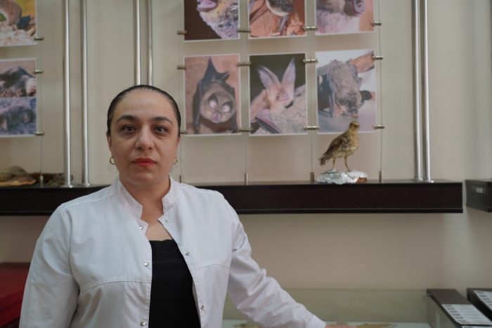 От «Великого скачка» до всероссийской переписи: почему воробьев нужно считать, а не истреблять. Мнение эксперта КБГУ