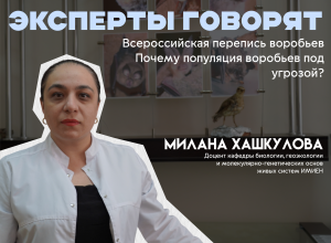 От «Великого скачка» до всероссийской переписи: почему воробьев нужно считать, а не истреблять. Мнение эксперта КБГУ