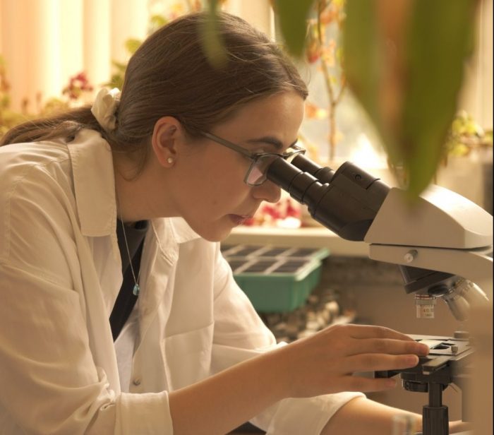 Пингвин-нигилист: научный взгляд на массовый мем 2026 года