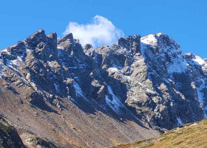 Всероссийский день гурмана: гастрономия Кавказа – мост к культурному наследию и традициям