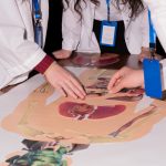 Медицинская академия КБГУ вместе с Дворцом творчества детей и молодежи провели профориентационный кейс-турнир для школьников