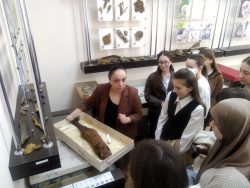 ИМиЕН посетили школьники регионального проекта сетевых психолого-педагогических классов ГБУ ДПО «Центр непрерывного повышения профессионального мастерства педагогических работников» Минпросвещения КБР