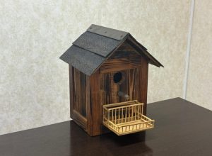 Сотрудники ИМиЕН приняли участие в составе жюри конкурса «Лучший домик для птиц», приуроченного к празднованию «Международного дня птиц»