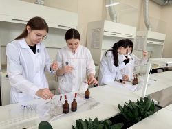 В ИМиЕН прошел мастер-класс «Удивительная химия» для старшеклассников, приуроченный ко Дню химика
