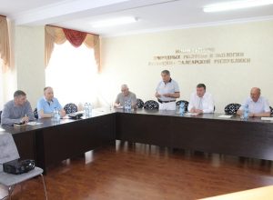 Сотрудники ИМиЕН приняли участие в заседании Общественного совета при Министерстве природных ресурсов и экологии КБР