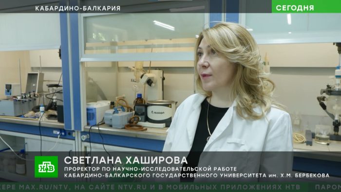 Ученые КБГУ нашли новый способ борьбы с амброзией: репортаж телеканала НТВ