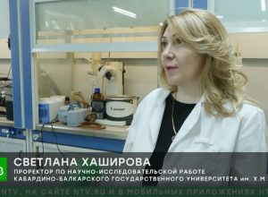 Ученые КБГУ нашли новый способ борьбы с амброзией: репортаж телеканала НТВ