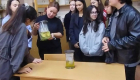 Антарес_02.26_3